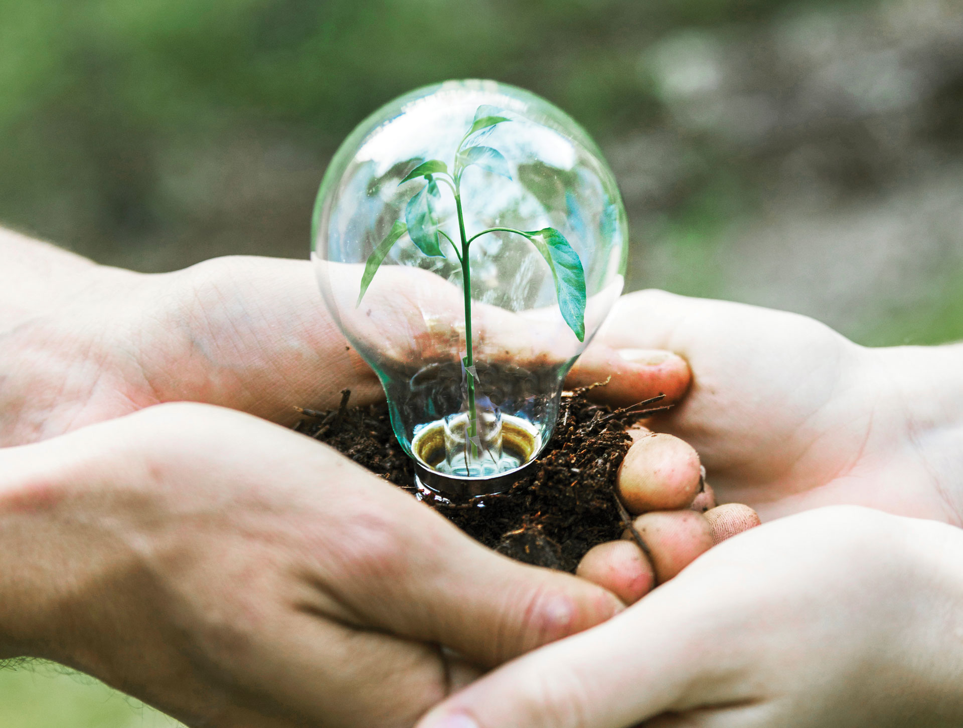 Waste Heat Recovery & Renewable Energy Systems